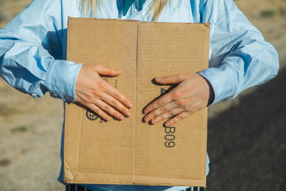 Курсы программирования и дизайна