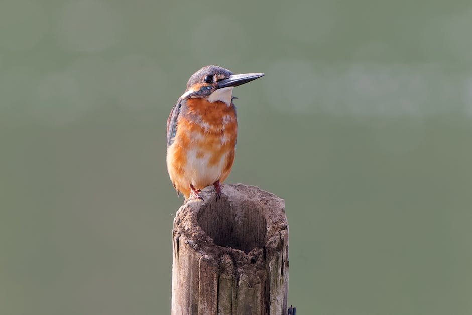 Курсы программирования и дизайна