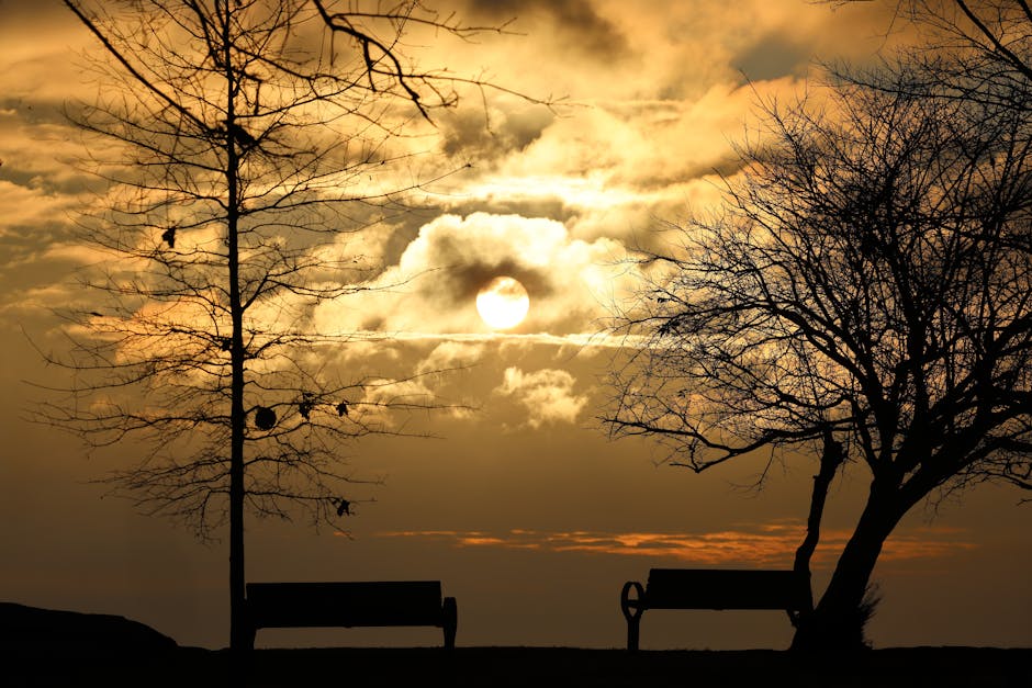 Курсы программирования и дизайна