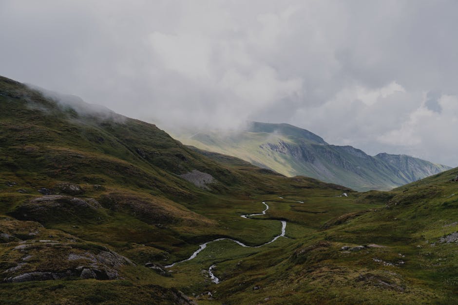 Курсы программирования и дизайна