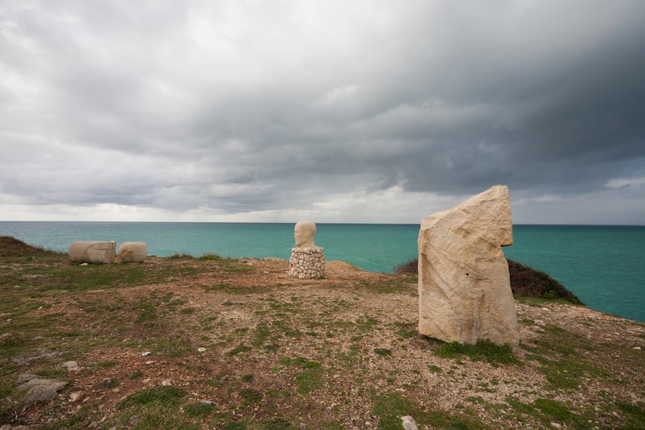Курсы программирования и дизайна